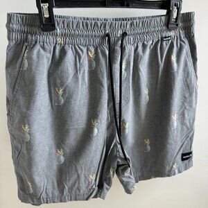 Hurley Men's Swim Trunks